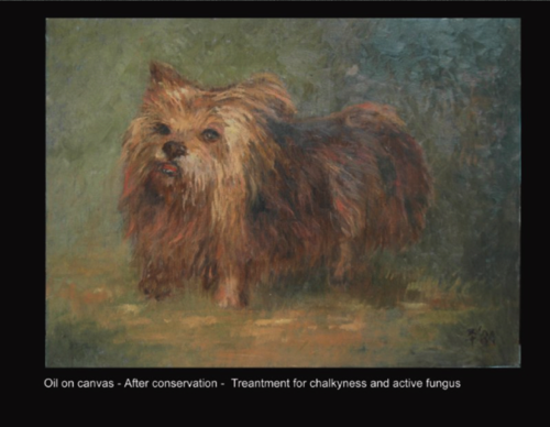 Oil on canvas - After conservation -  Treantment for chalkyness and active fungus